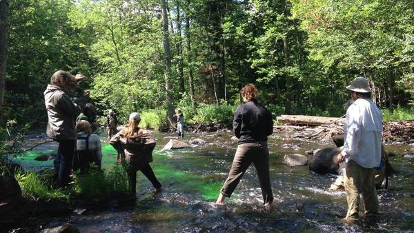 UNDERC students measure stream flow as part of the Aquatic Ecology module.