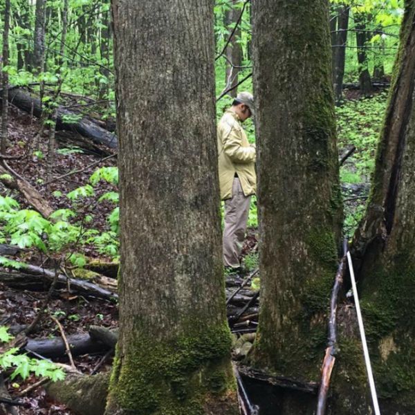 Dominic Acri conducted research at UNDERC-East on how photoperiod affects foraging behavior of woodland deer mice.
